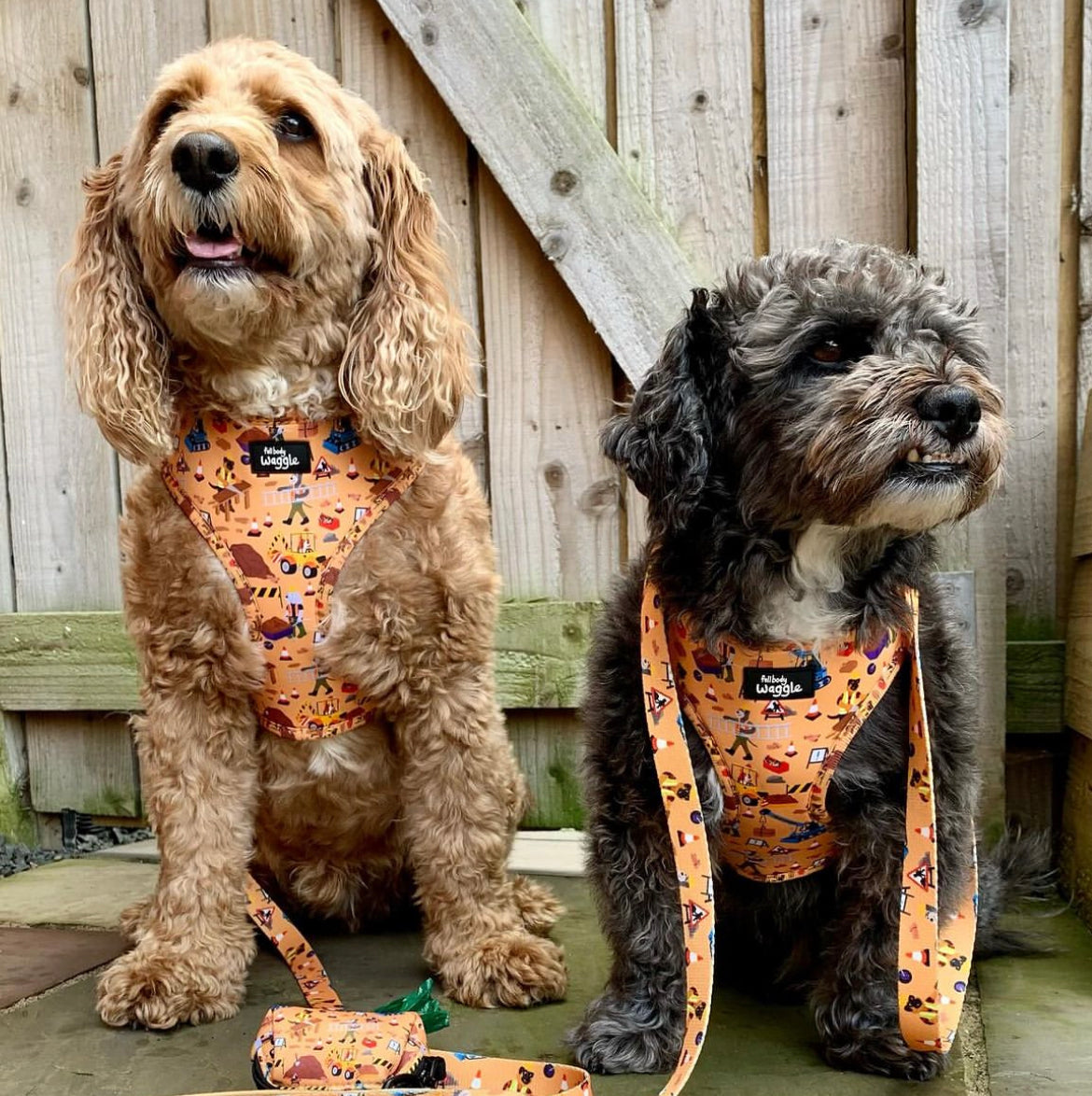 Dogs at Work - adjustable harness