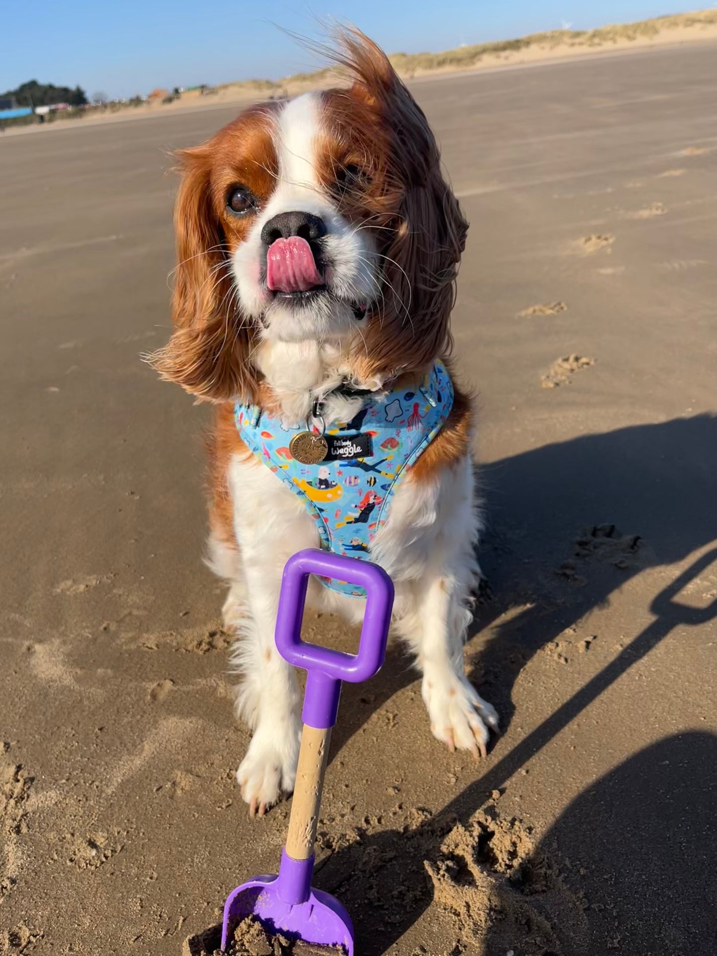 Dogs under the sea - adjustable harness