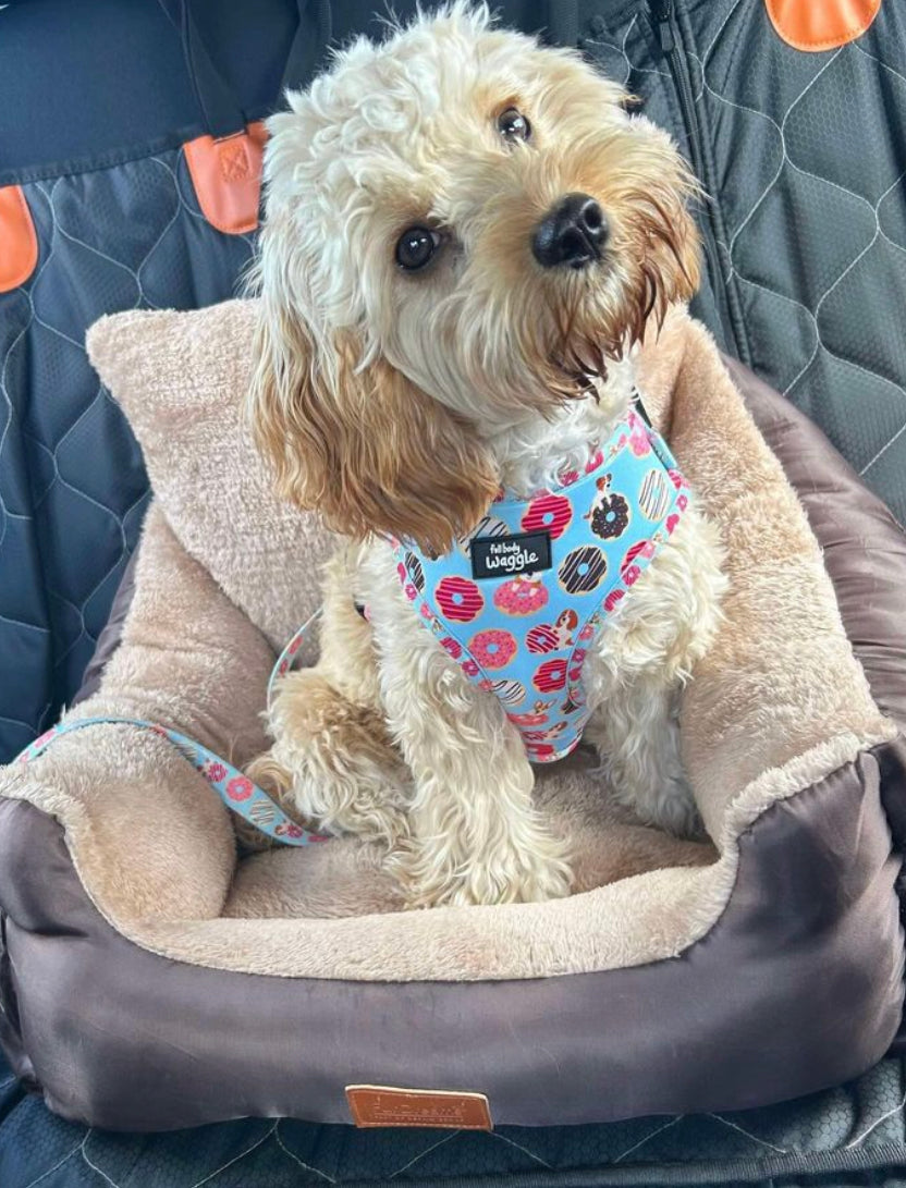 Doughnut Pups - adjustable harness