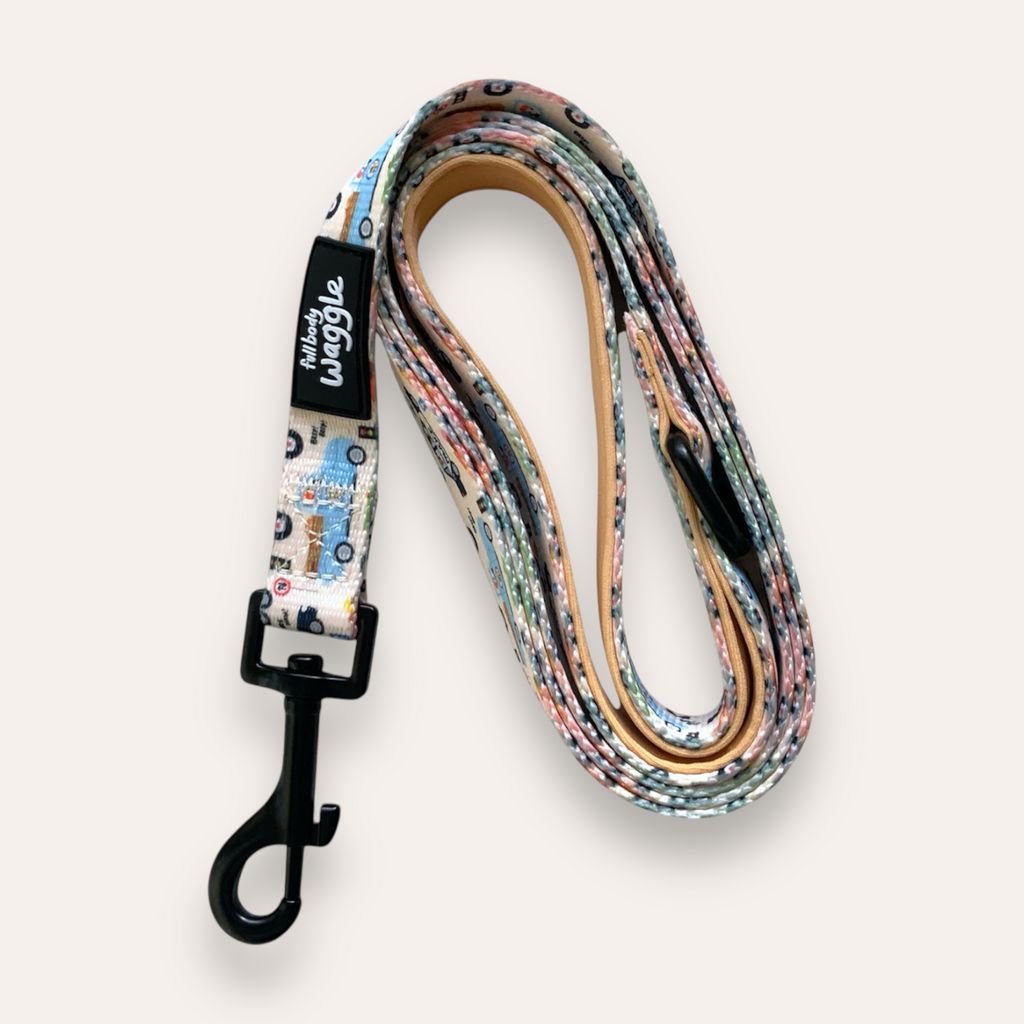 Dogs on the Road  - Lead