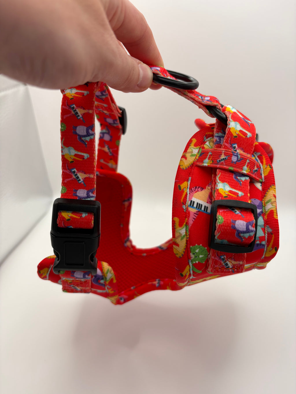 Rockasaurus - Adjustable Harness