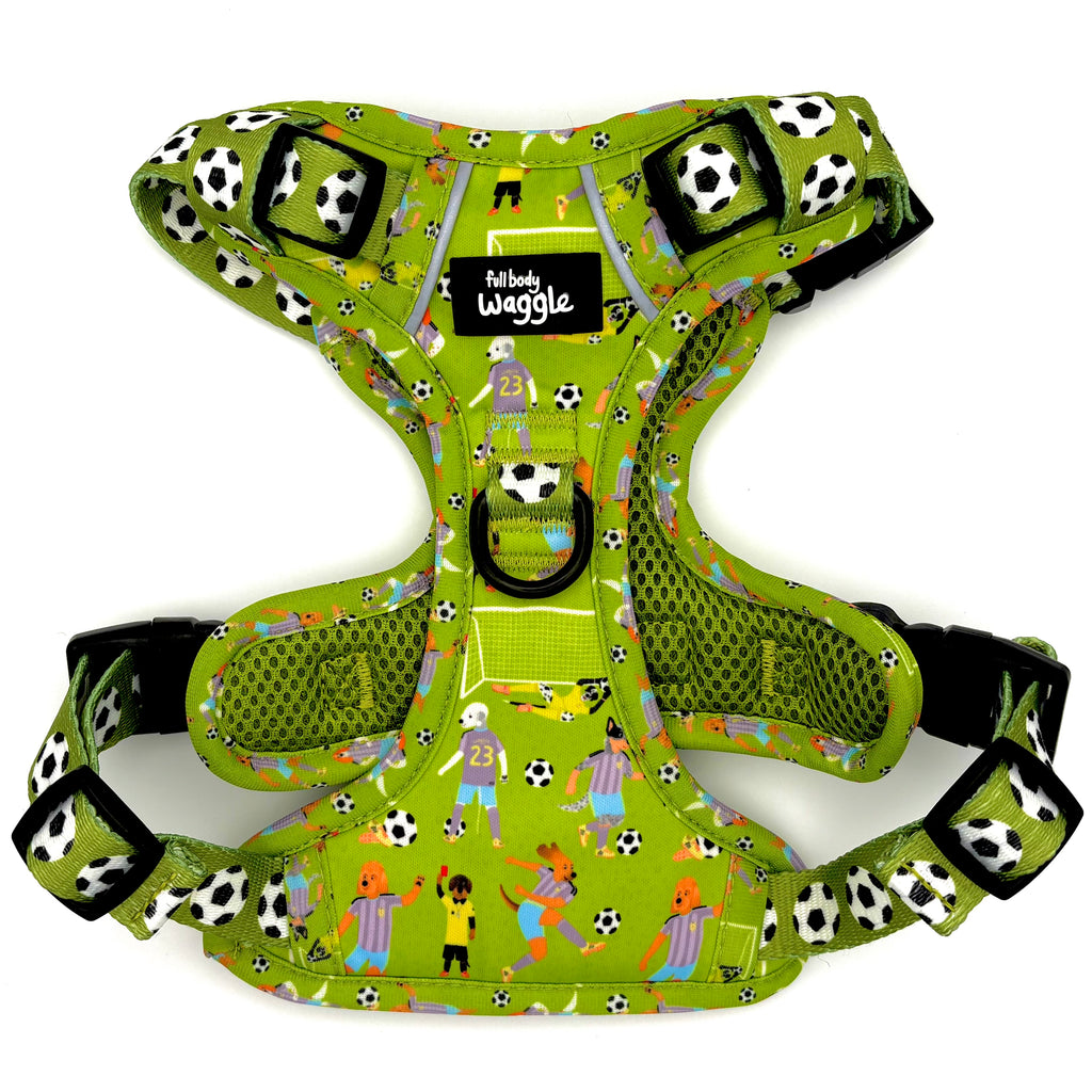Football Pups - Adjustable tough style harness and lead