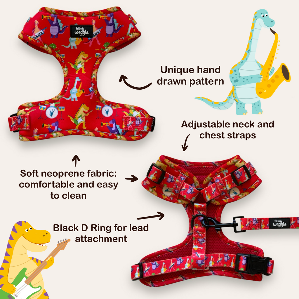 Rockasaurus- Adjustable harness and lead