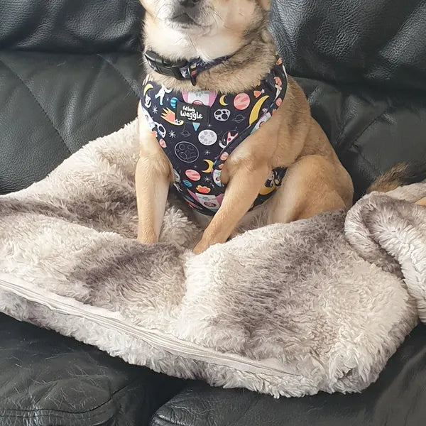 Space Pups - Adjustable Harness