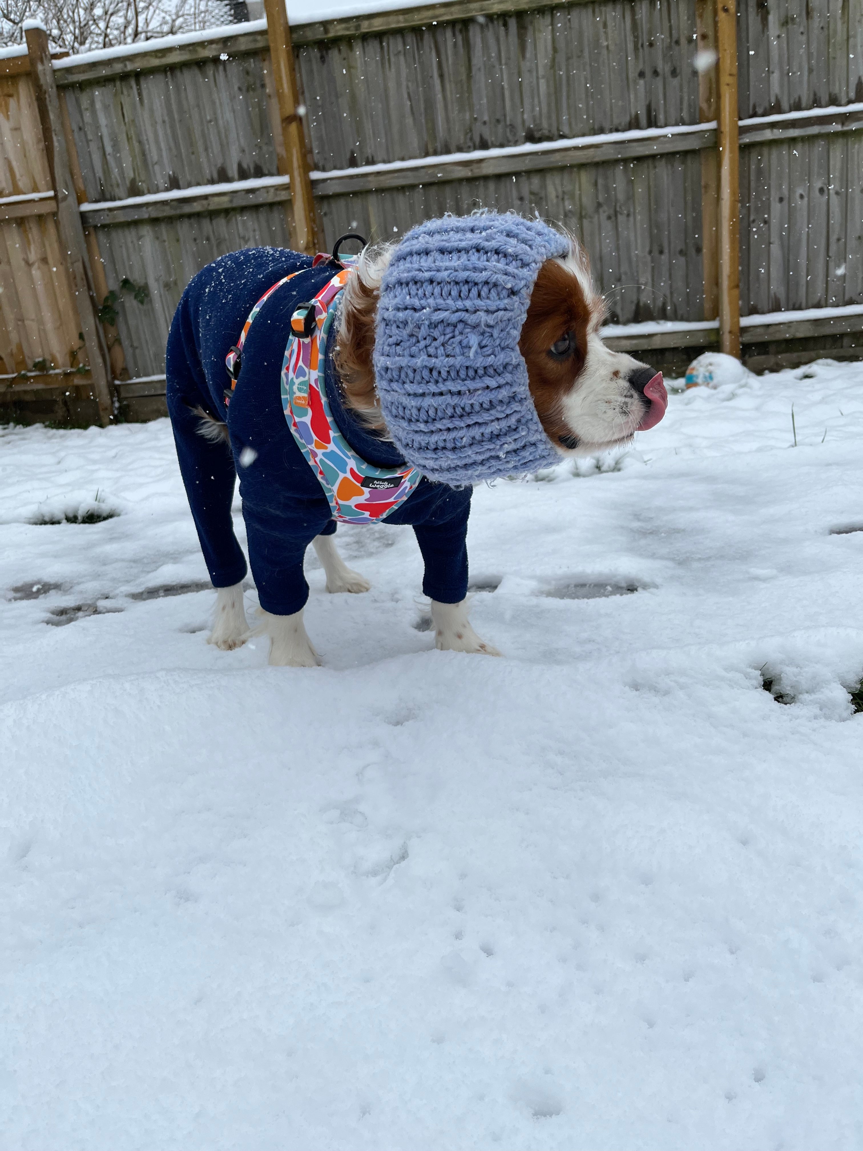 On the Bright Side - Adjustable harness