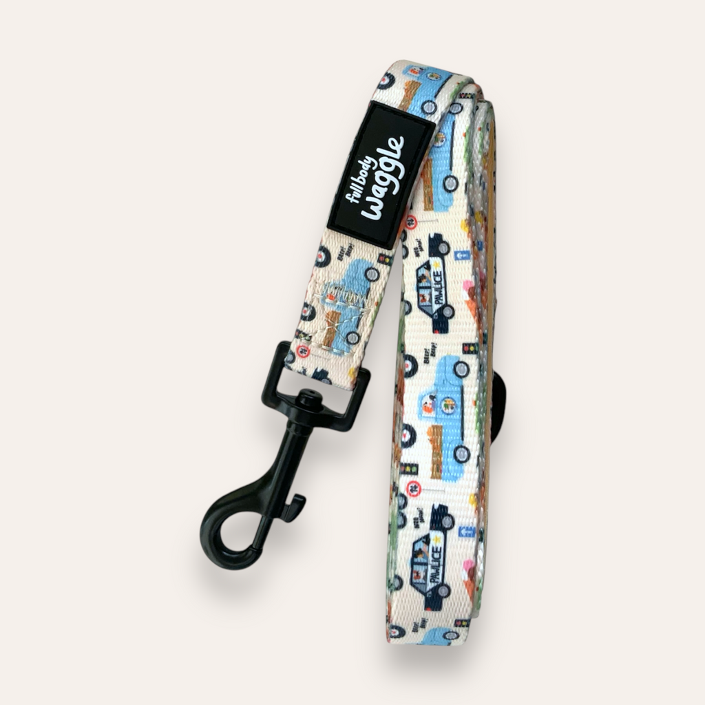 Dogs on the Road  - Lead