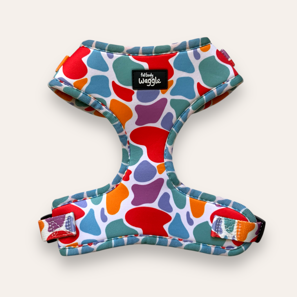 On the Bright Side - Adjustable harness and lead