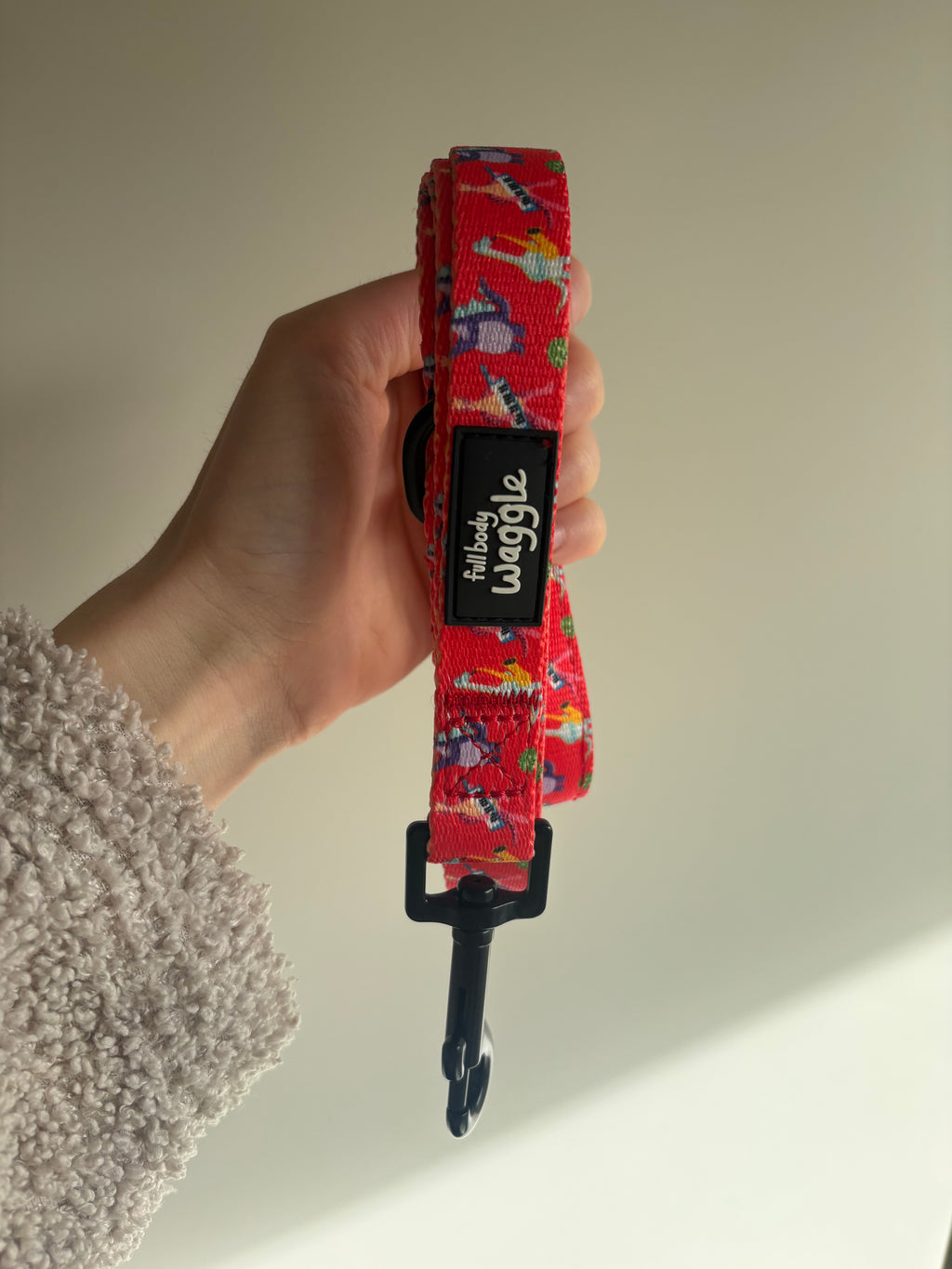 Rockasaurus- Adjustable harness and lead