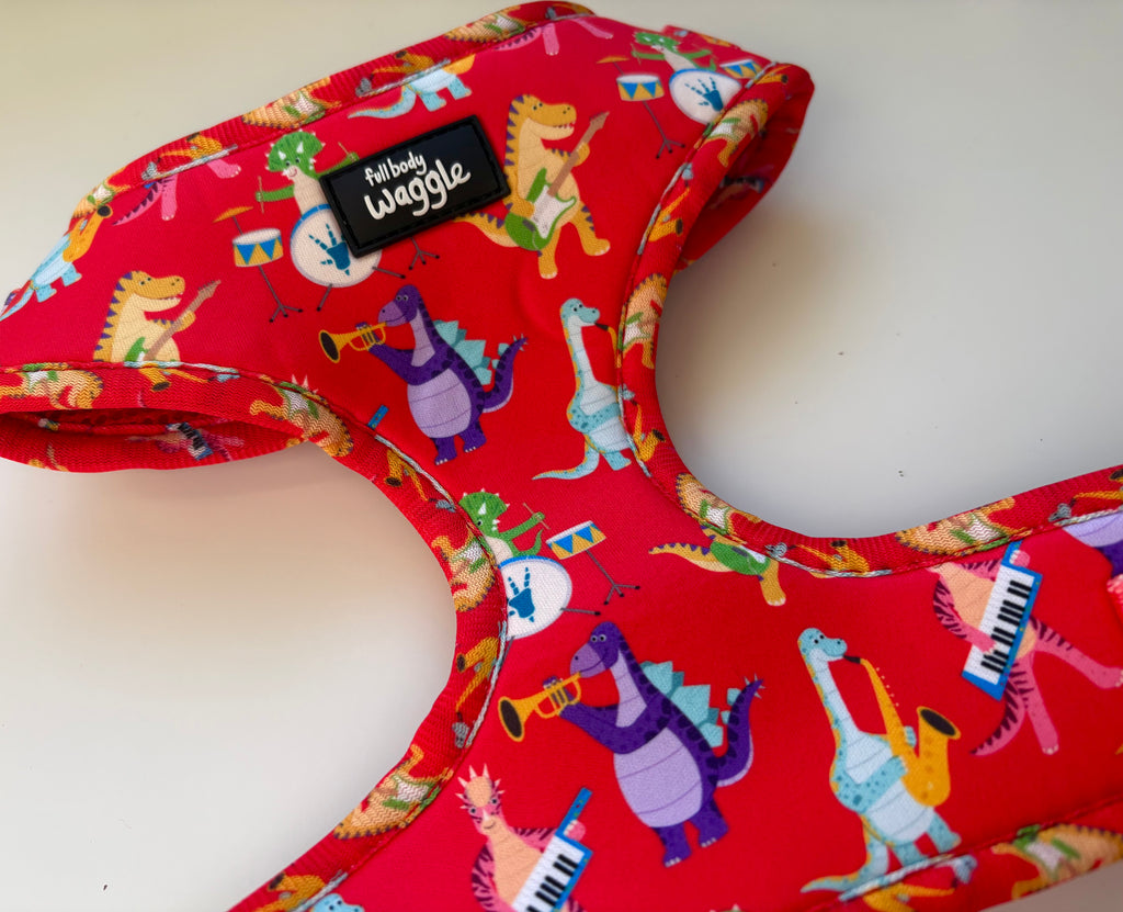 Rockasaurus- Adjustable harness and lead
