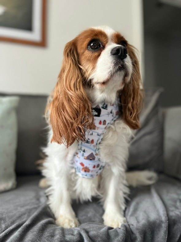 Winter Pups - adjustable harness