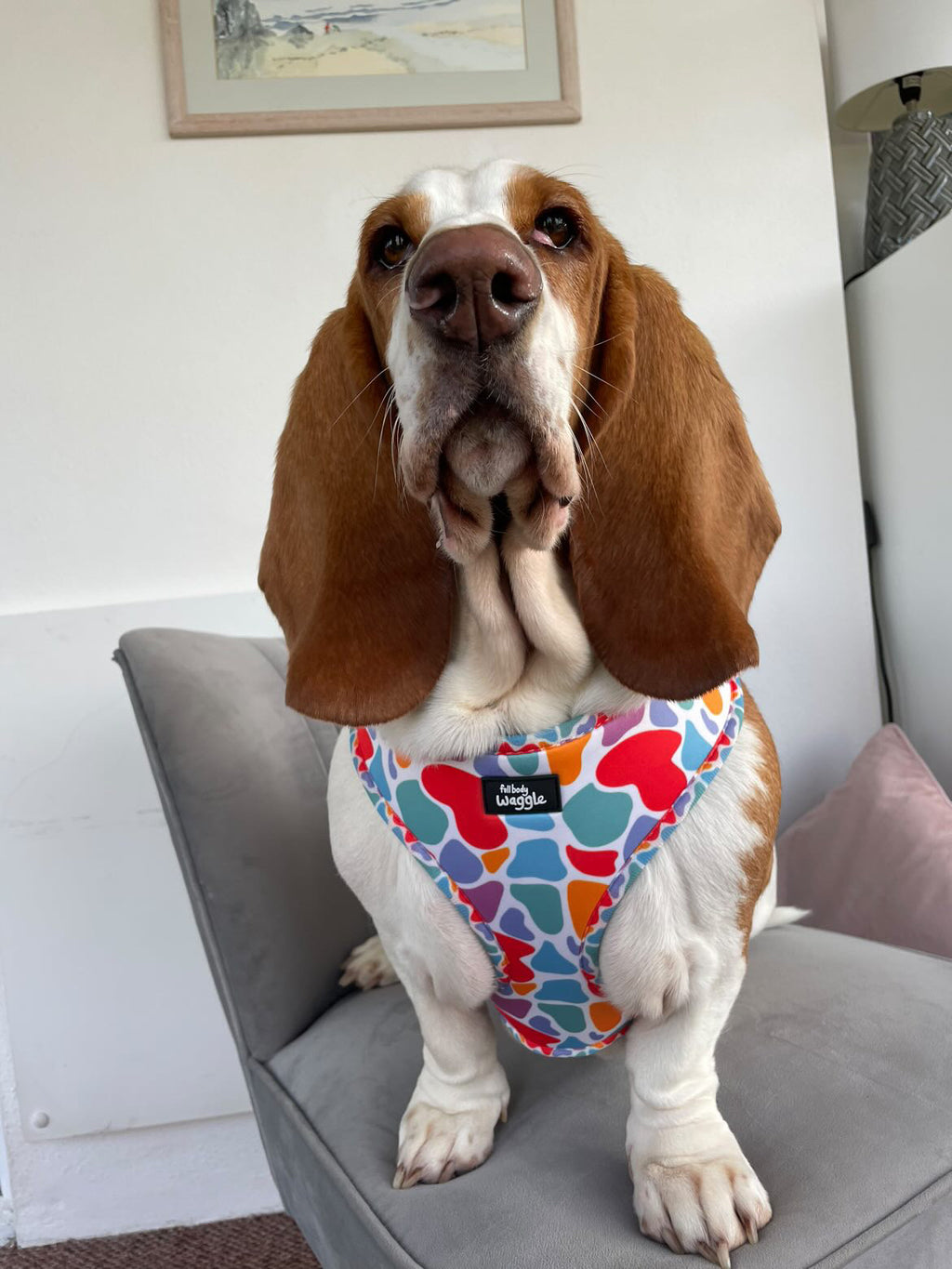 On the Bright Side - Adjustable harness