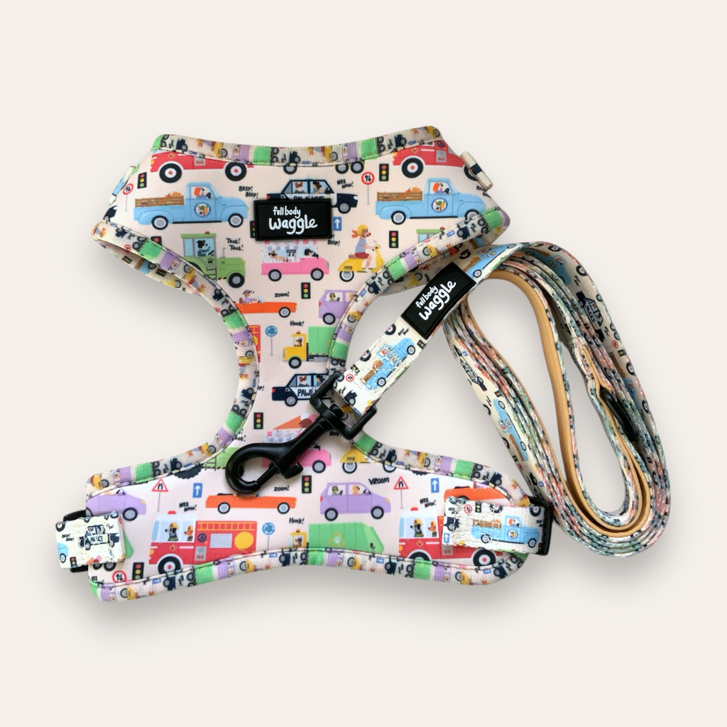 Dogs on the Road - Adjustable harness and lead