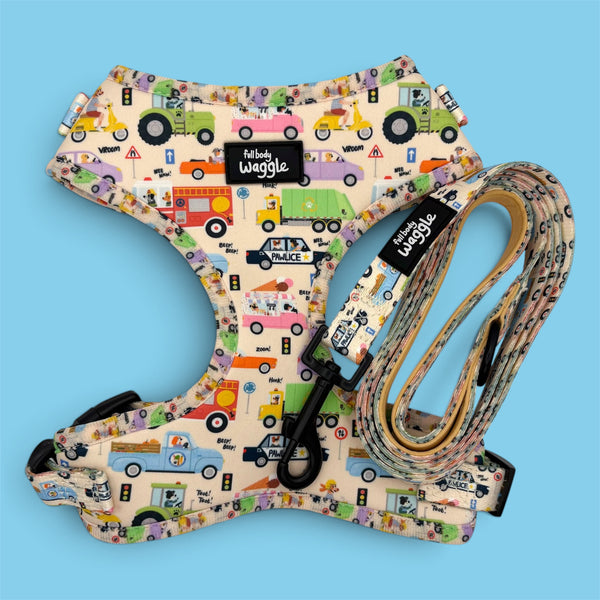 Dogs on the Road - Adjustable harness and lead