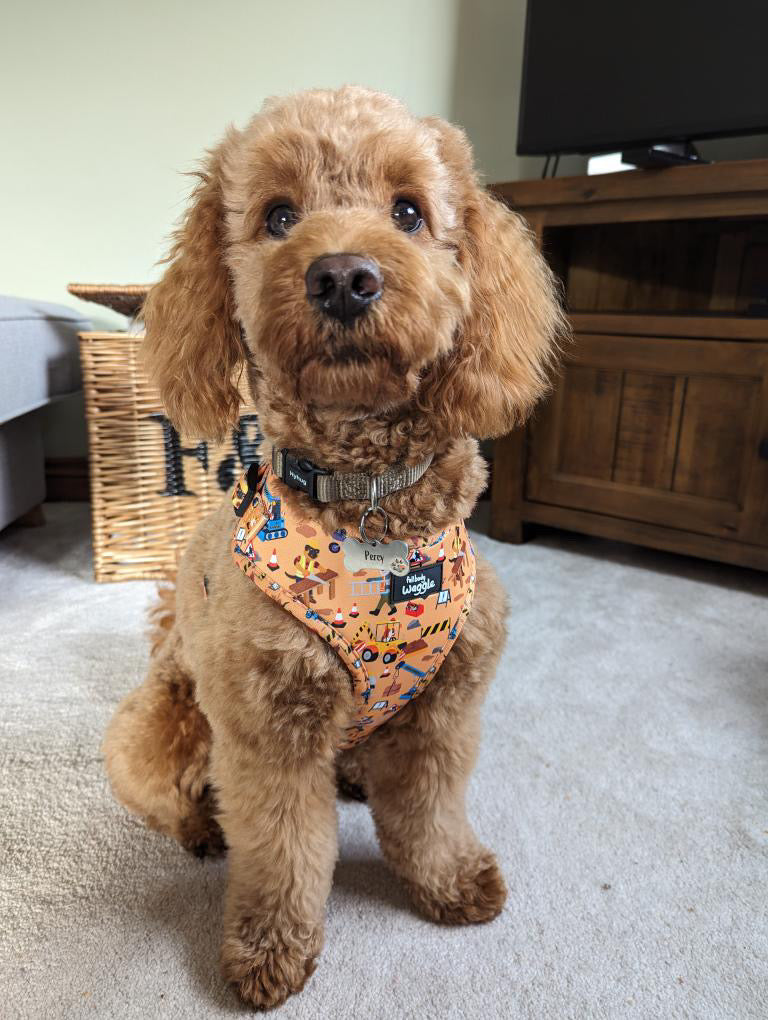 Dogs at Work - Full harness set