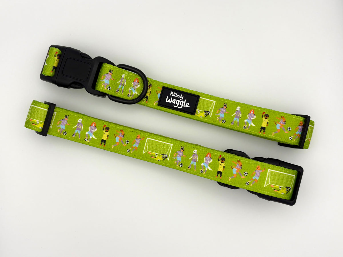 Football Pups - Collar