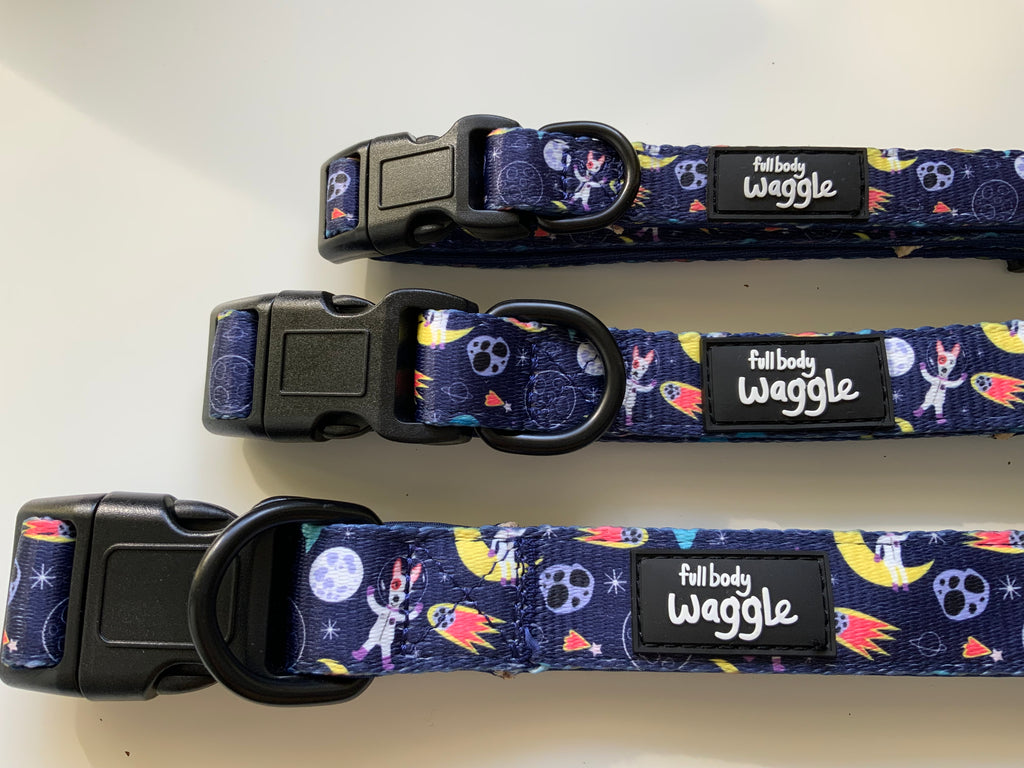 Space Pups Collar