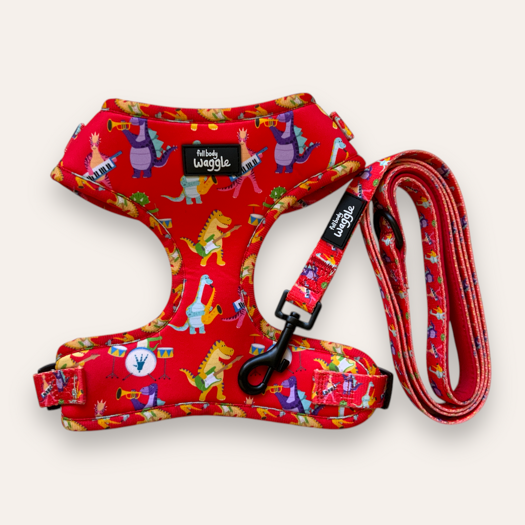 Rockasaurus- Adjustable harness and lead