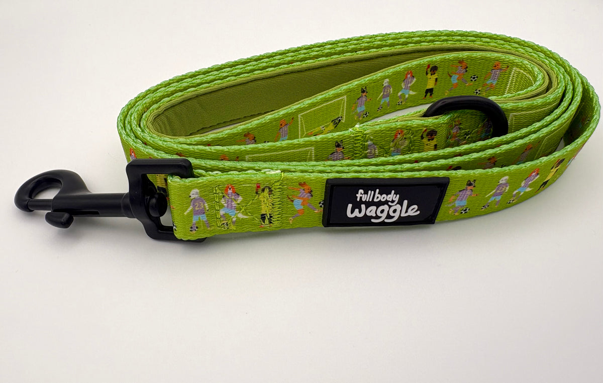 Football Pups  - Lead