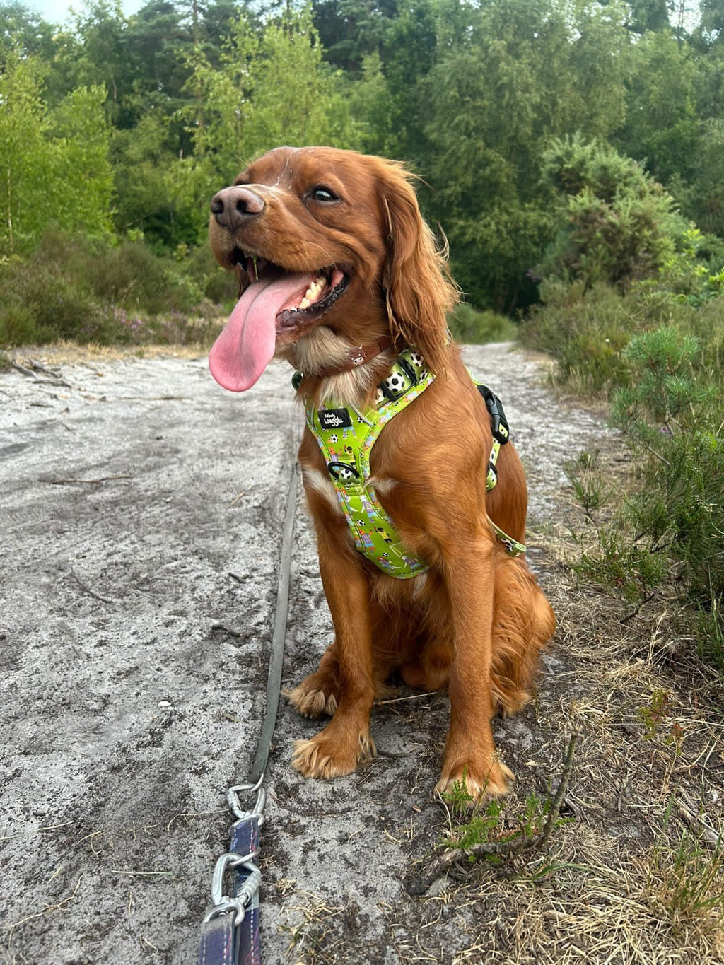Football Pups - Adjustable Tough-Style Harness