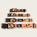 Dogs at Work - collar