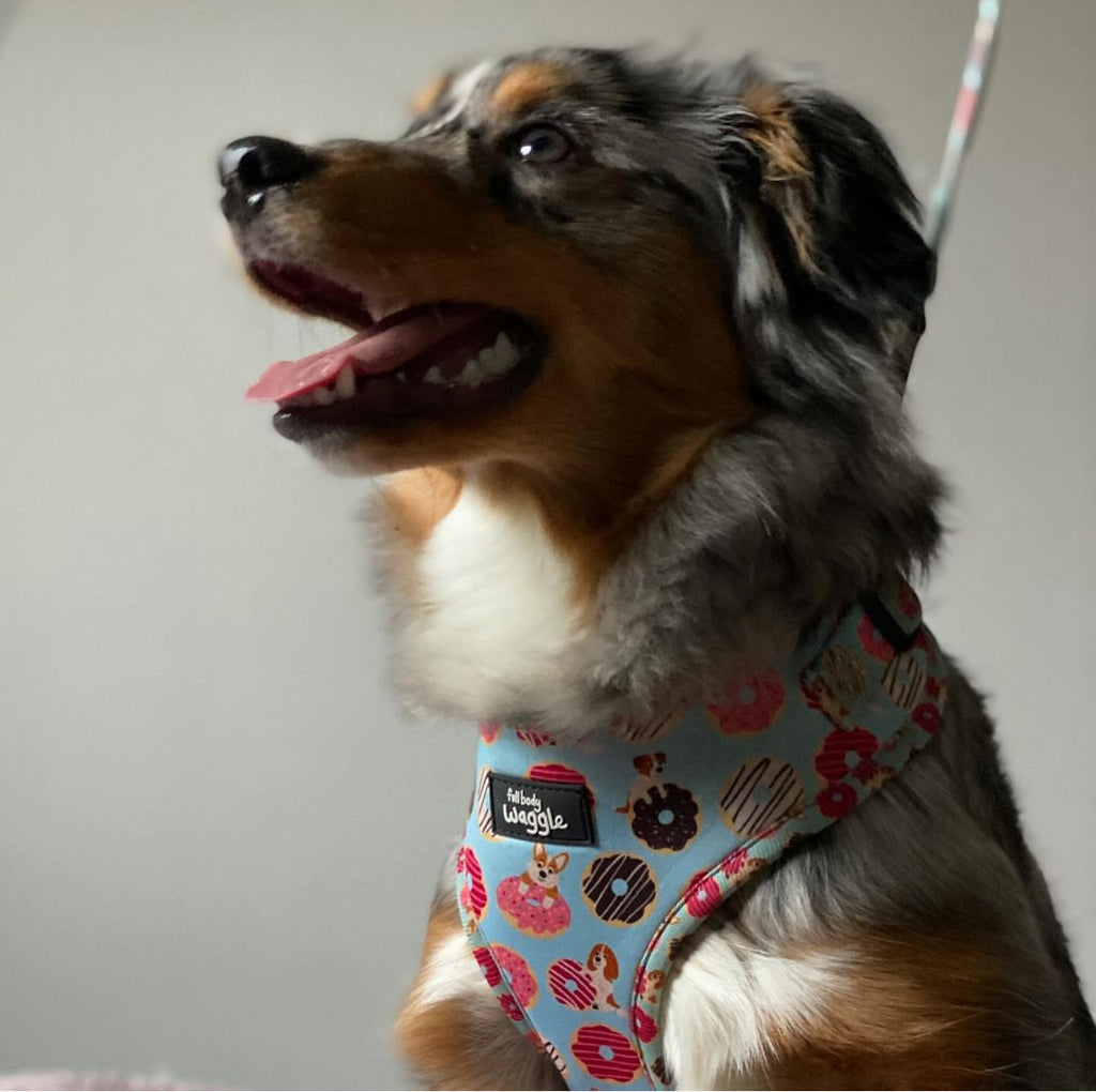 Doughnut Pups - adjustable harness
