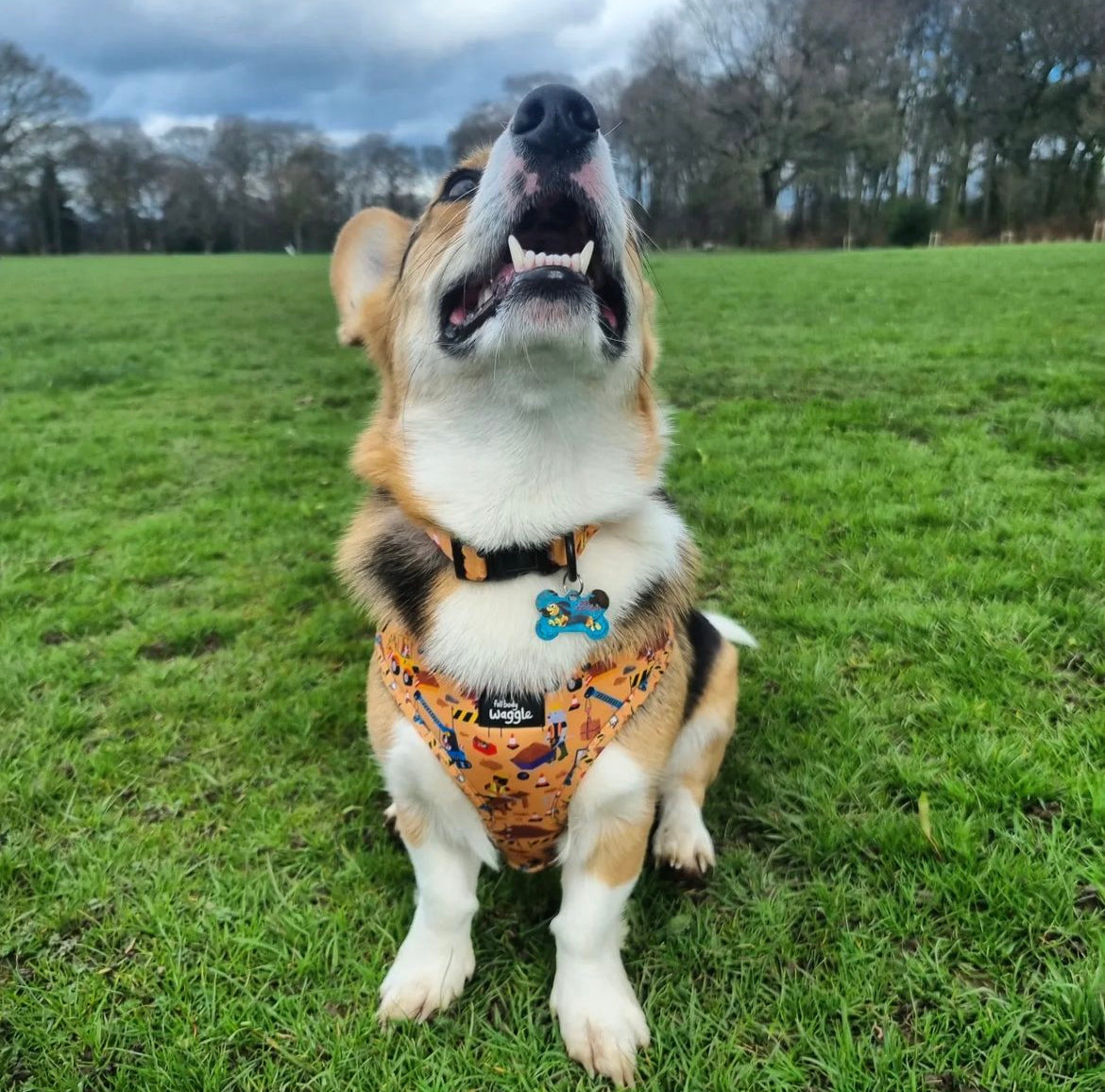 Dogs at Work - adjustable harness