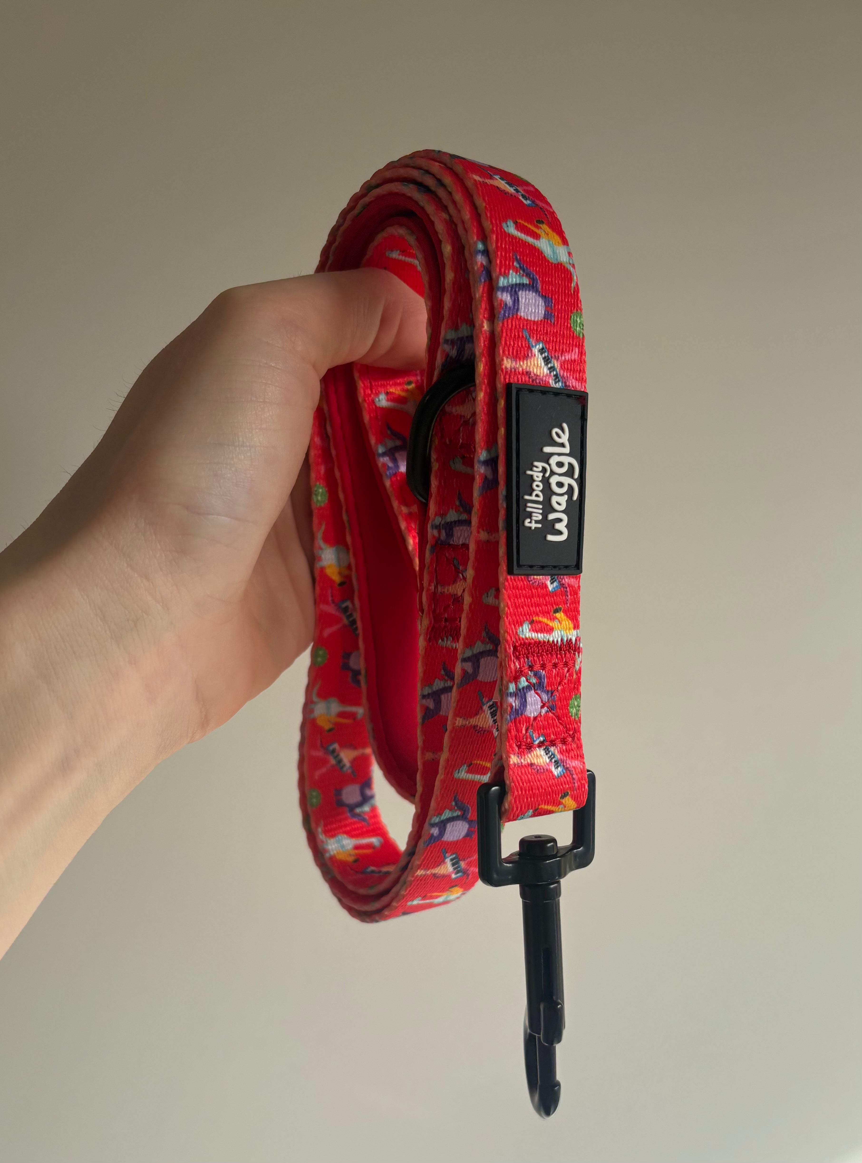 Rockasaurus- Adjustable harness and lead