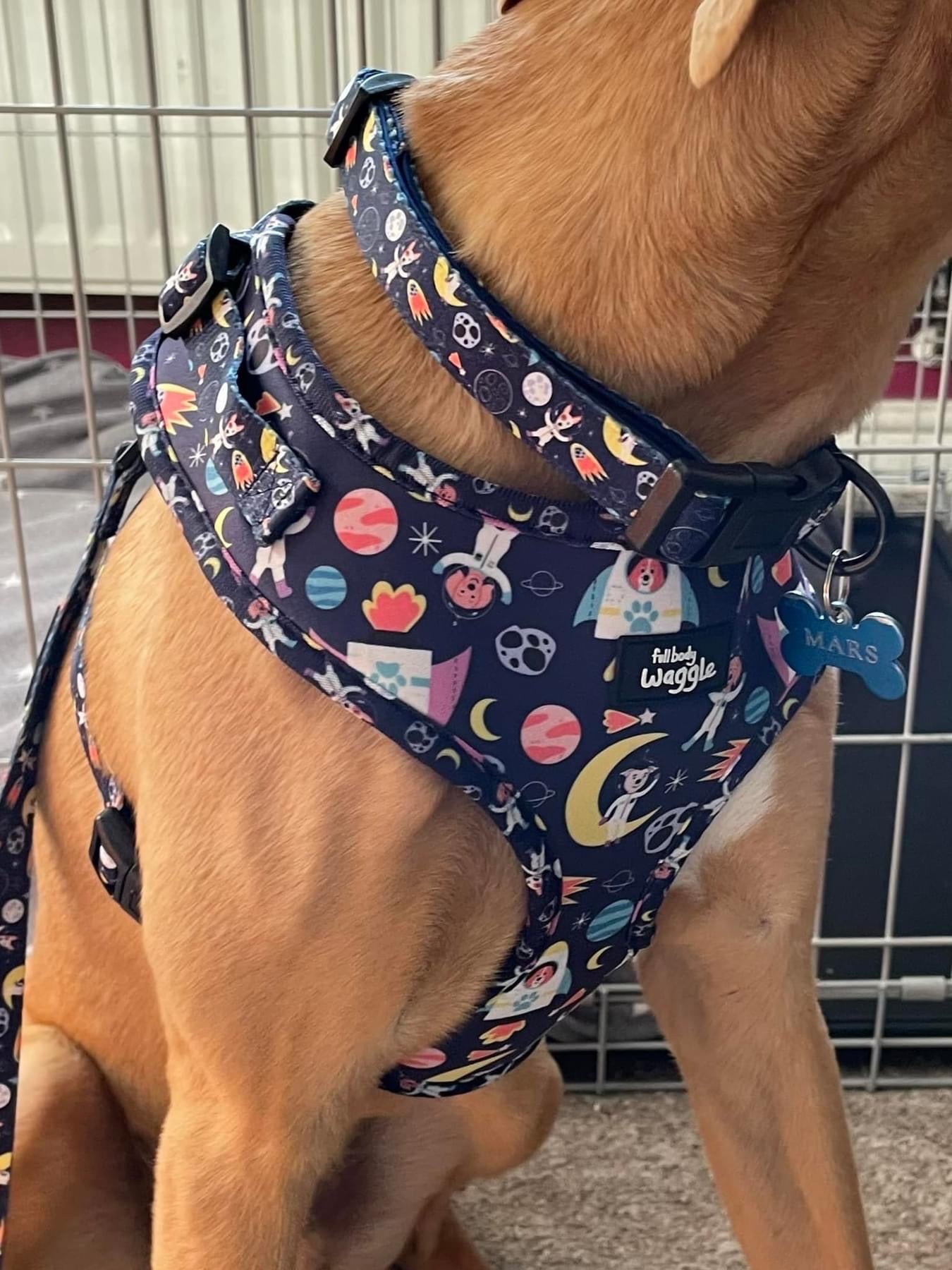 Space Pups Collar