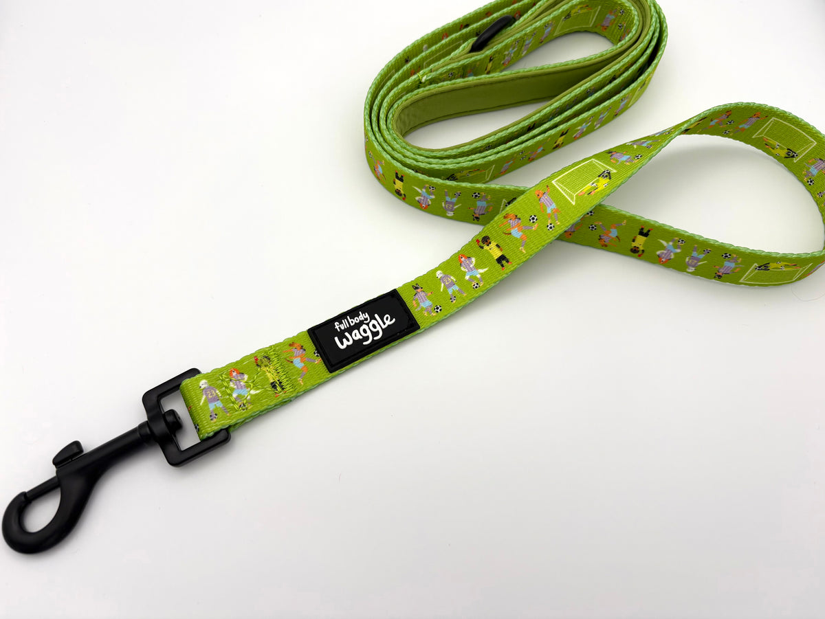 Football Pups - Adjustable tough style harness and lead
