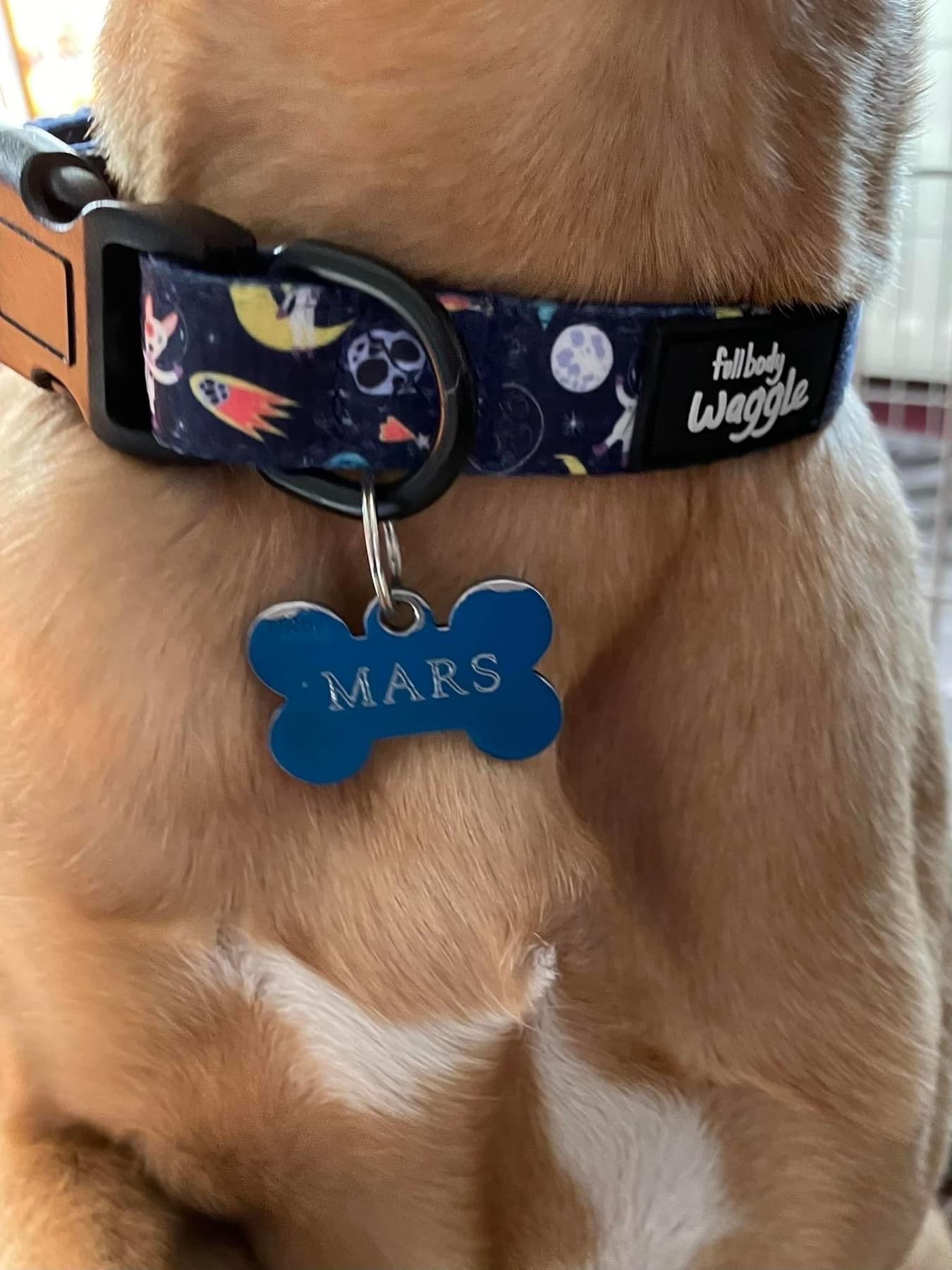 Space Pups Collar