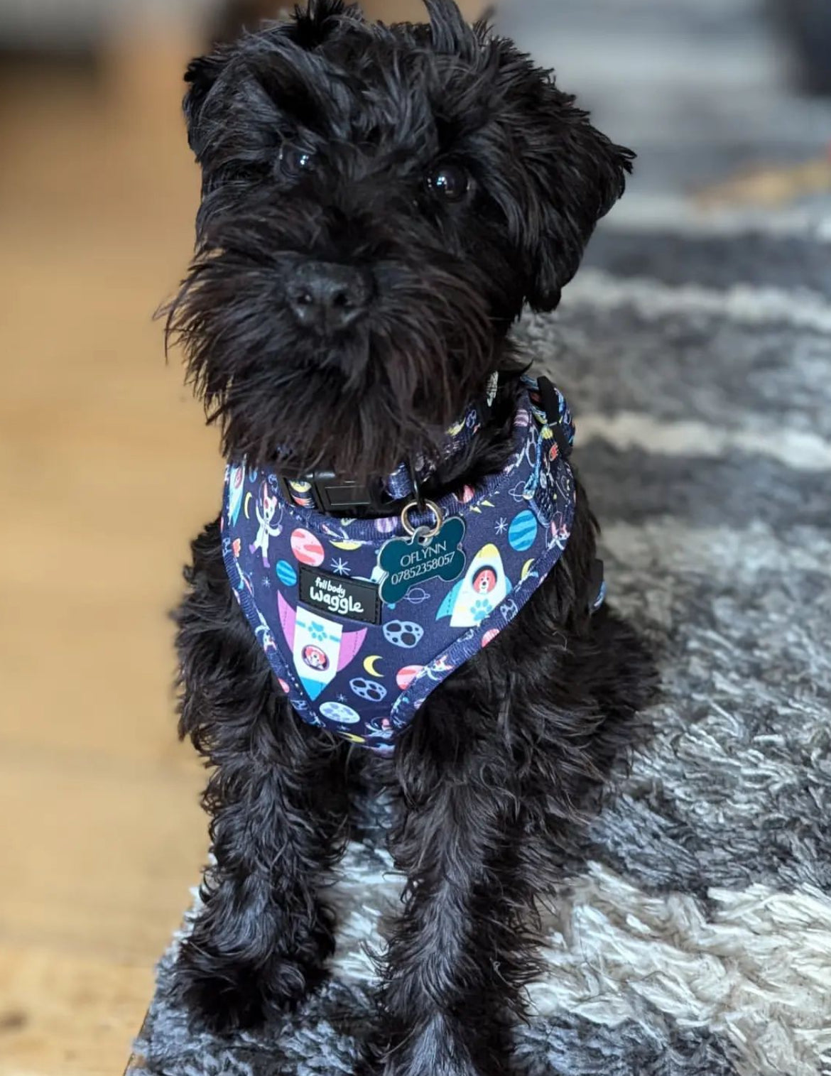 Space Pups - Adjustable Harness