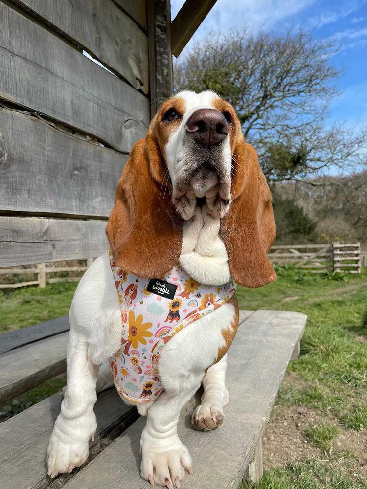 Flower Pups - Adjustable Harness