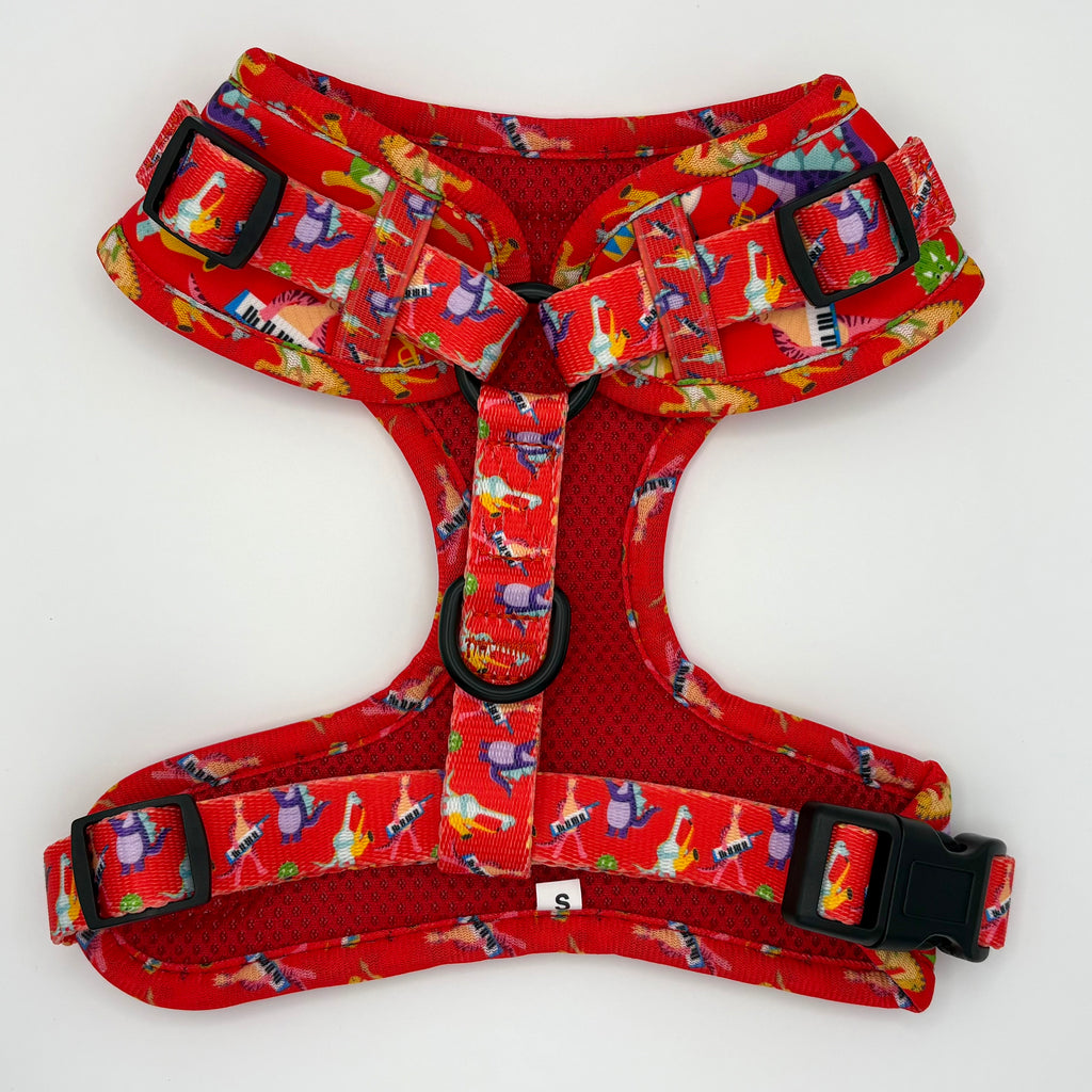 Rockasaurus - Adjustable Harness