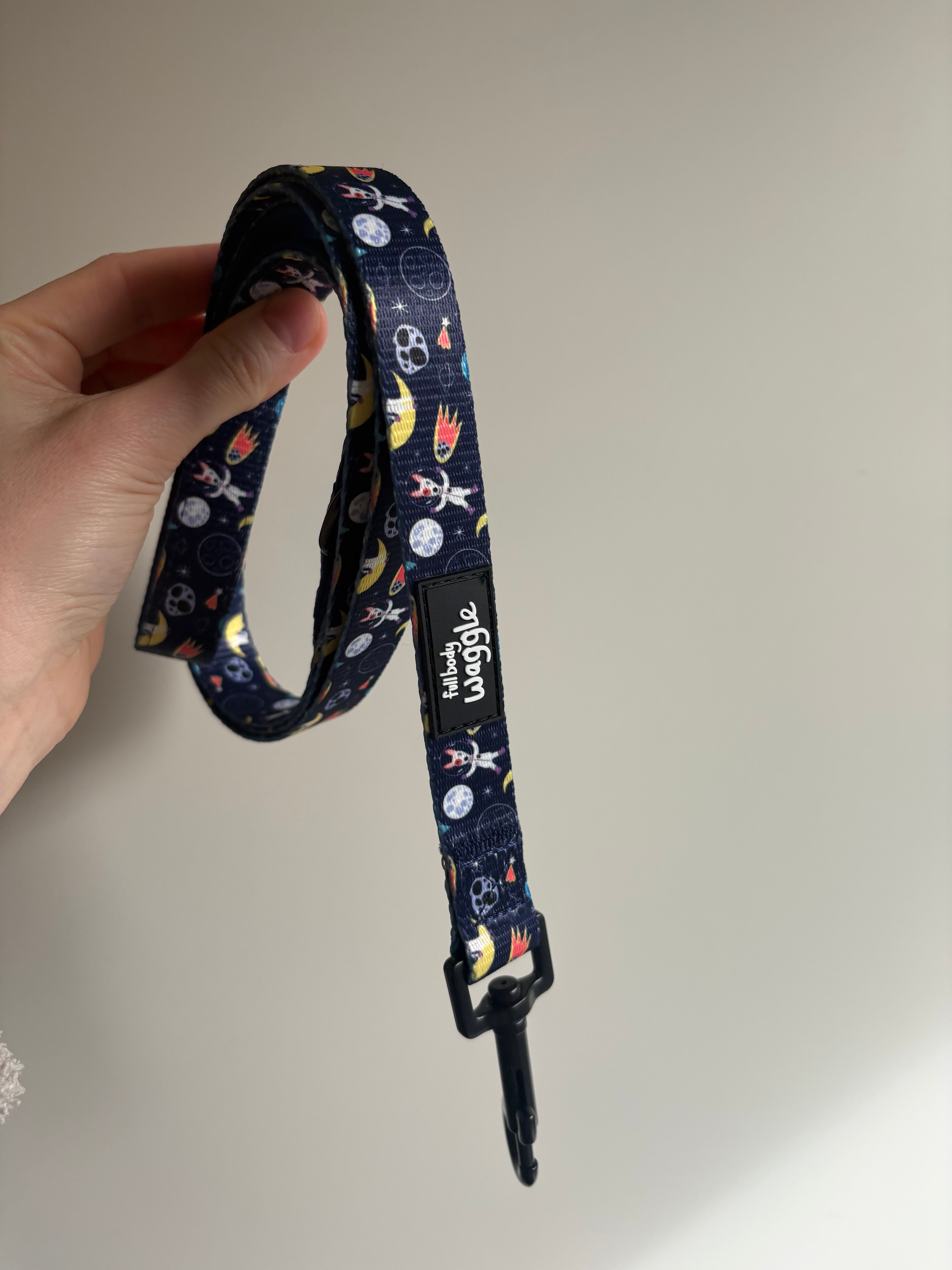 Space Pups Lead