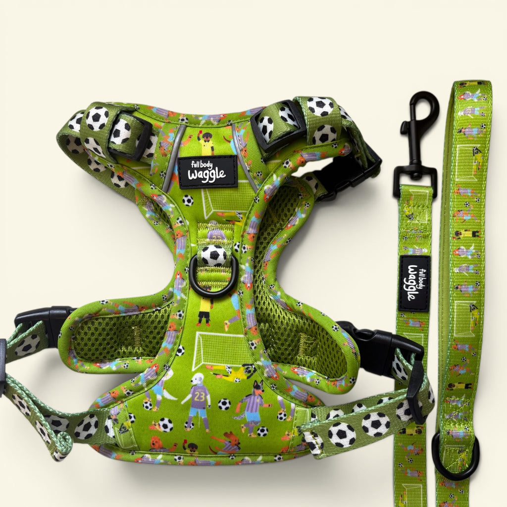 Football Pups - Adjustable tough style harness and lead