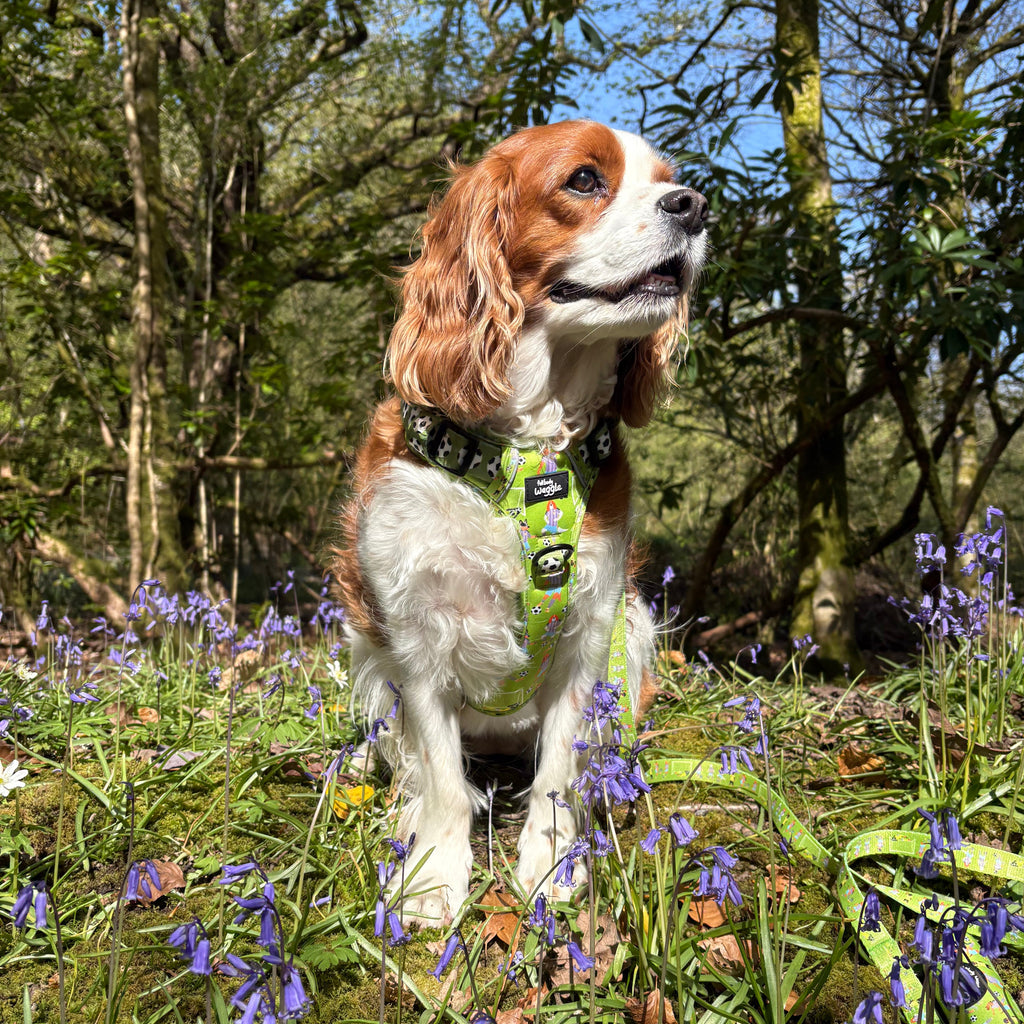 Football Pups - Adjustable Tough-Style Harness