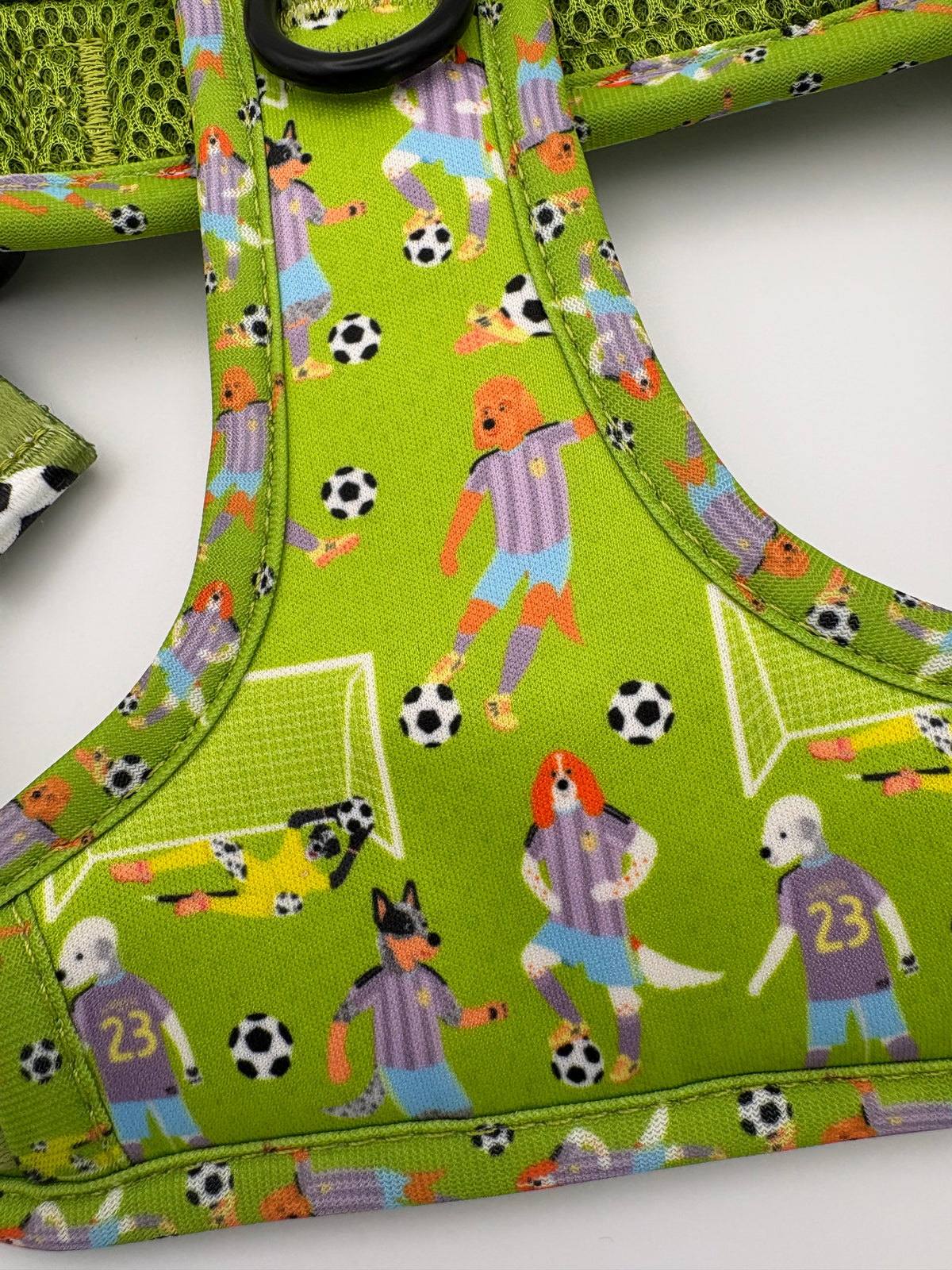 Football Pups - Adjustable tough style harness and lead