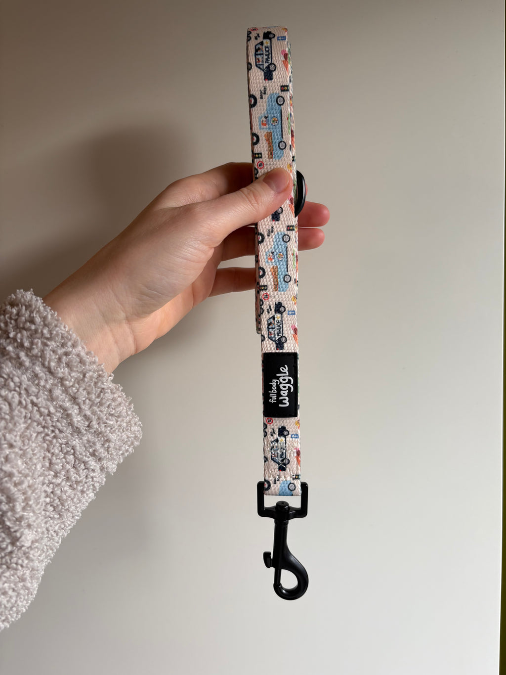 Dogs on the Road  - Lead