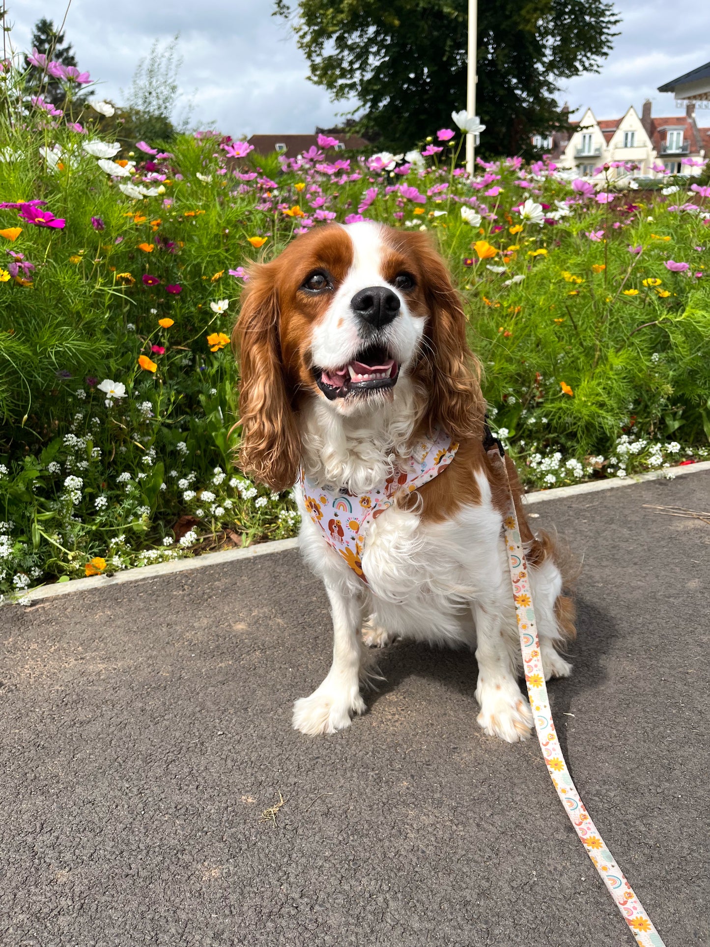 Flower Pups - Adjustable Harness