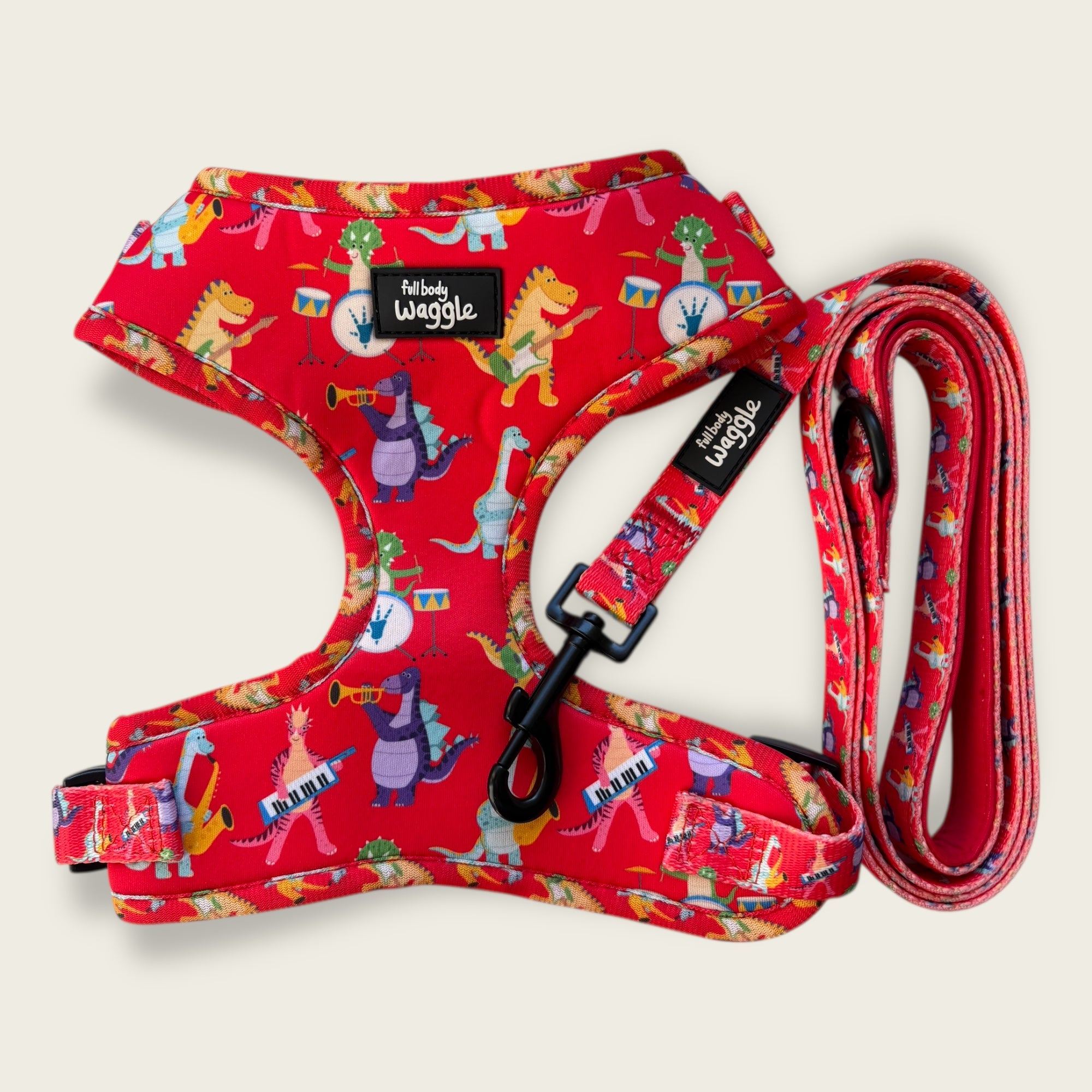 Rockasaurus- Adjustable harness and lead