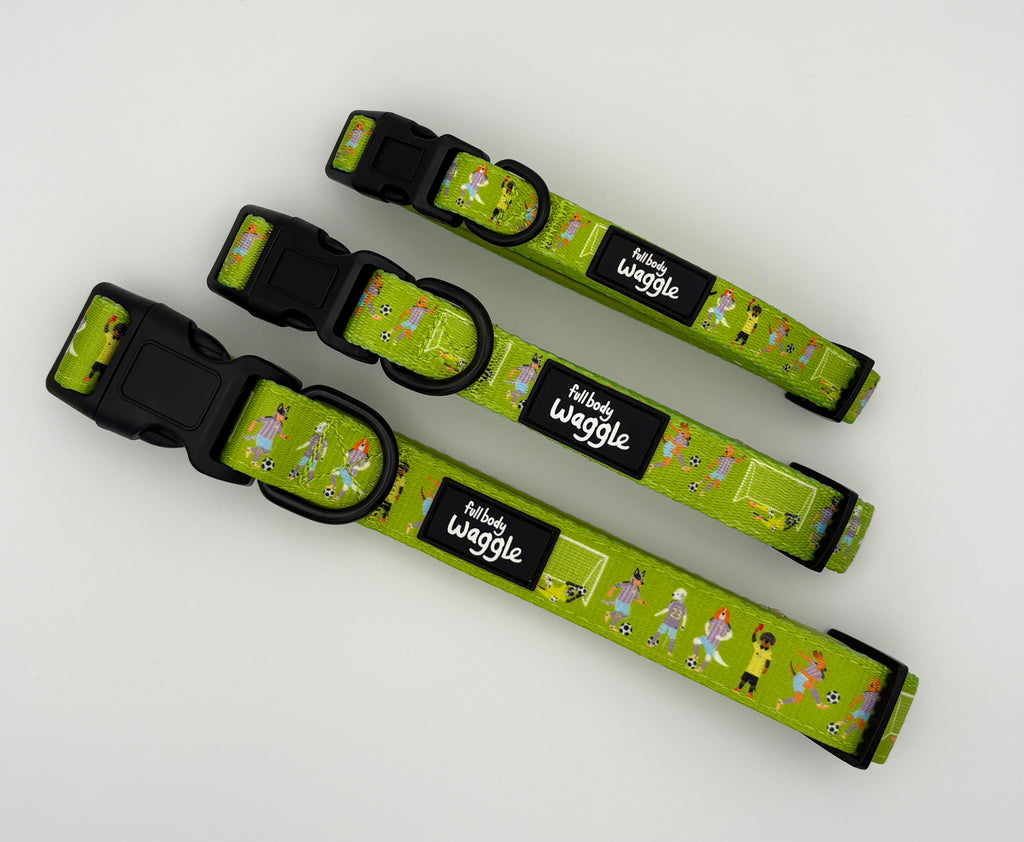 Football Pups - Collar