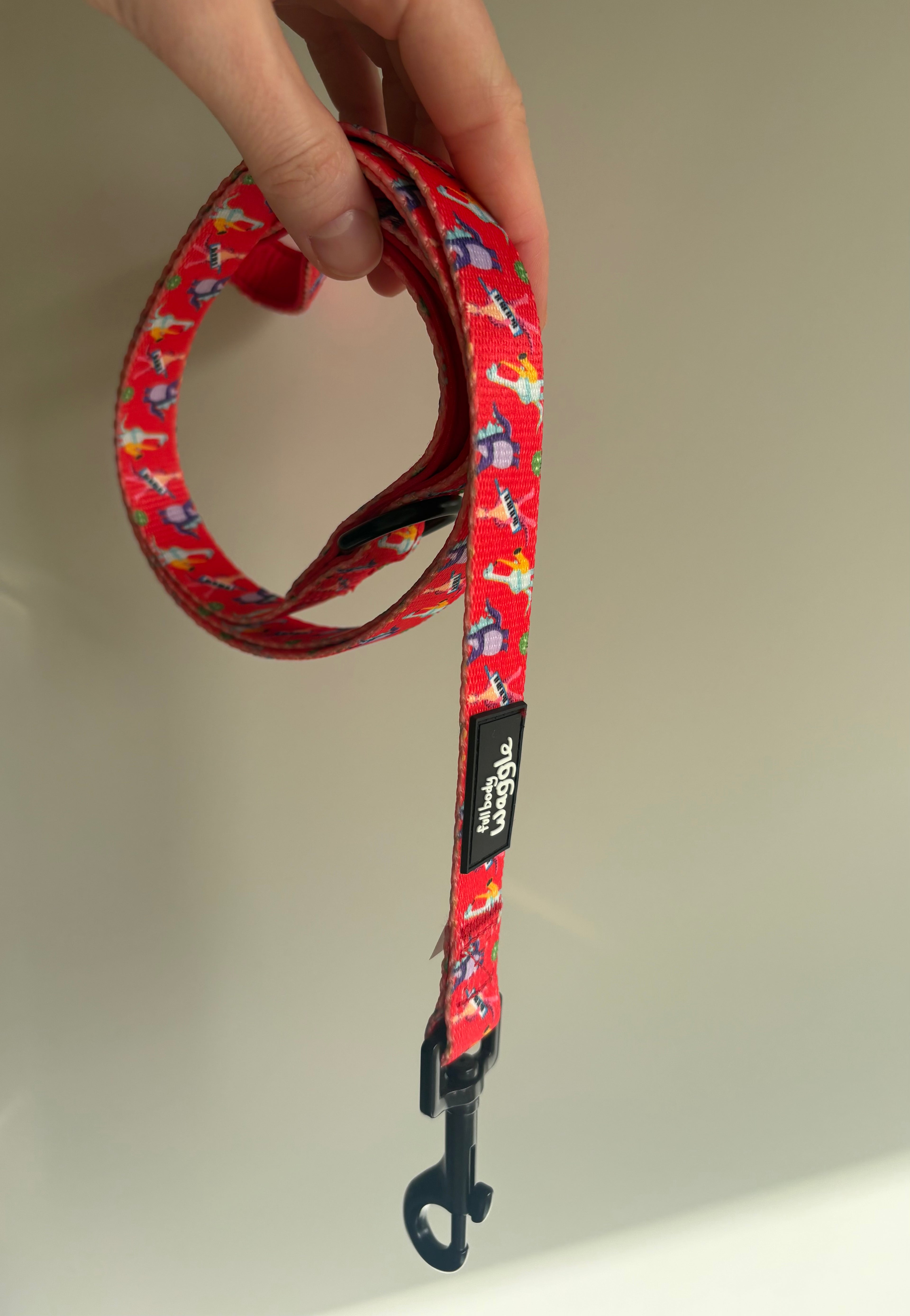 Rockasaurus- Adjustable harness and lead
