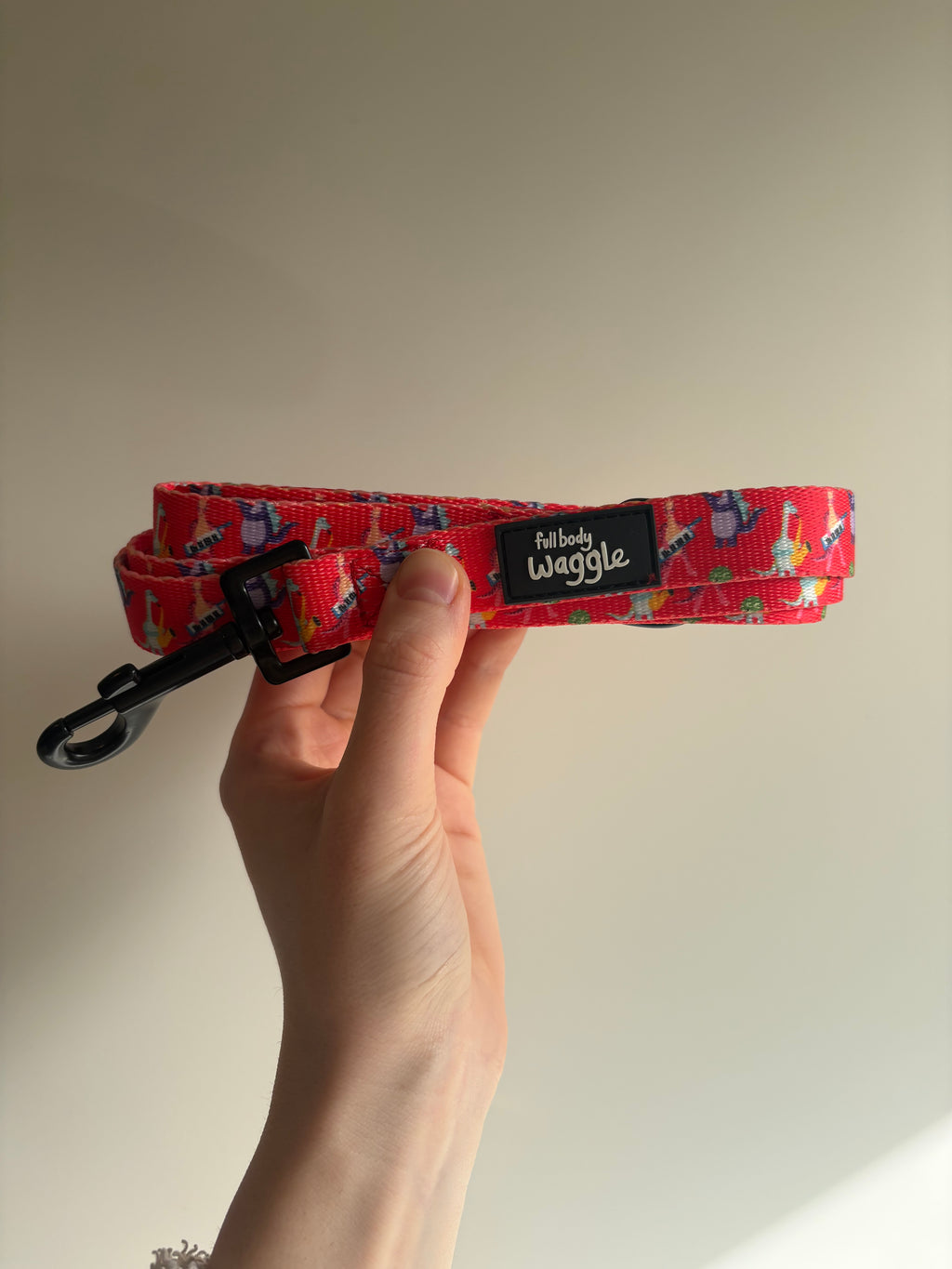 Rockasaurus- Adjustable harness and lead
