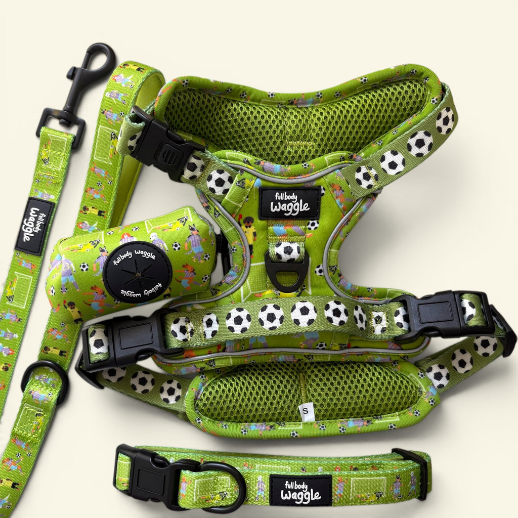 Football Pups - Adjustable Tough Style Harness full set