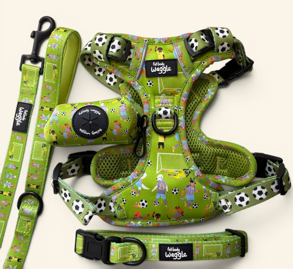 Football Pups - Adjustable Tough Style Harness full set