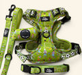 Football Pups - Adjustable Tough Style Harness full set