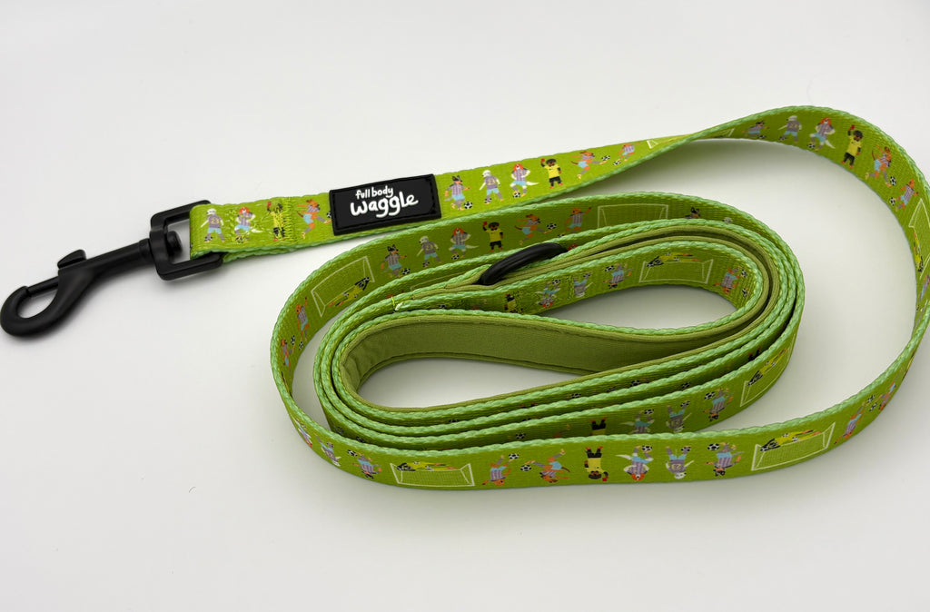 Football Pups - Adjustable tough style harness and lead