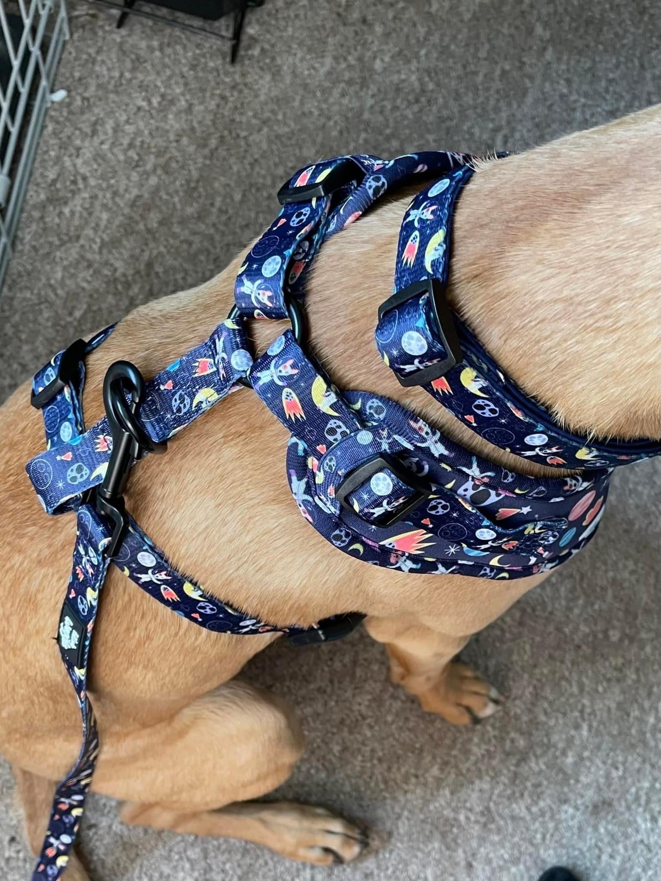 Space Pups - Adjustable Harness