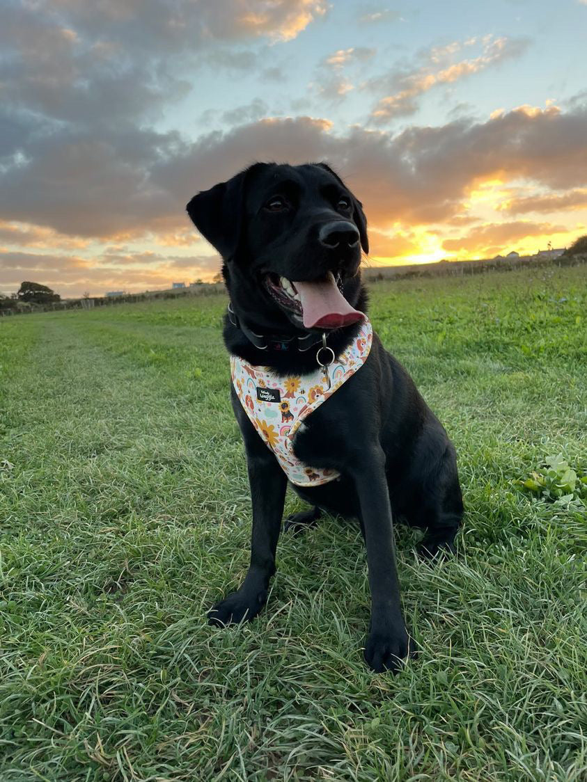 Flower Pups - Adjustable Harness