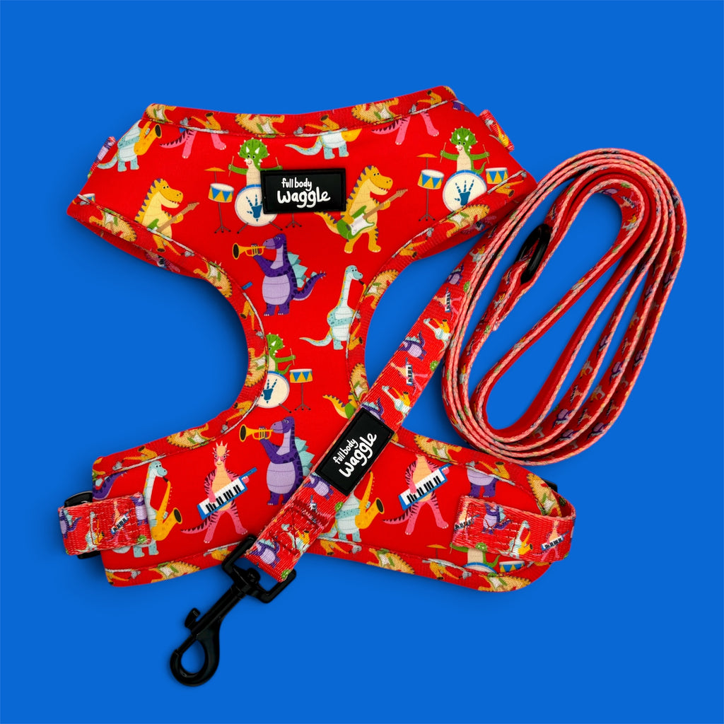 Rockasaurus- Adjustable harness and lead